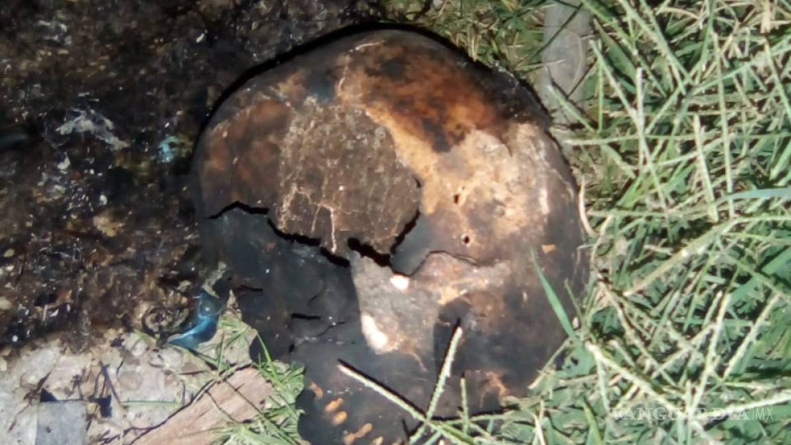 Encuentran en Gómez Palacio cráneo usado en prácticas esotéricas