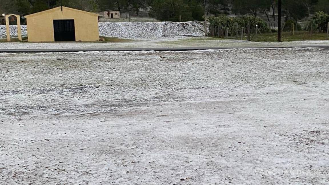 Reportan caída de aguanieve en Galeana, Nuevo León