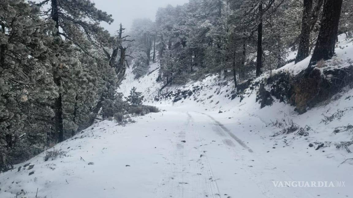 Nieve y aguanieve cubren al sur de Nuevo León; familia queda varada