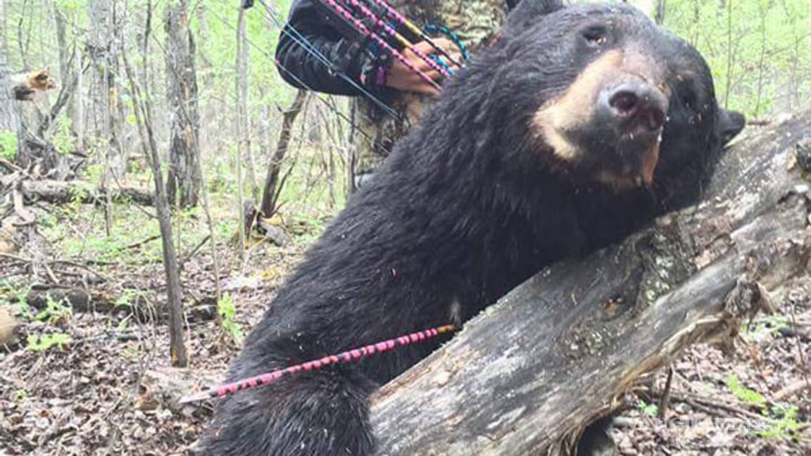 $!Niña caza un cachorro de oso y desata críticas
