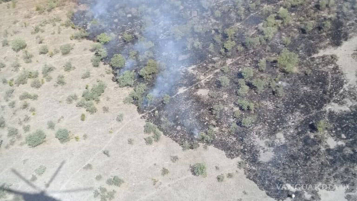 Corrige Conafor incendio no se registra en Maderas del Carmen, Ocampo Coahuila