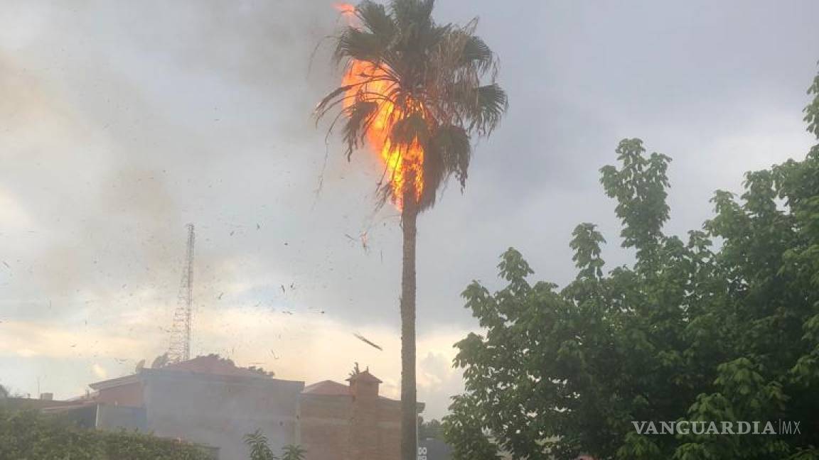 Causa alarma palmera incendiada por 'rayo' en la colonia República de Saltillo