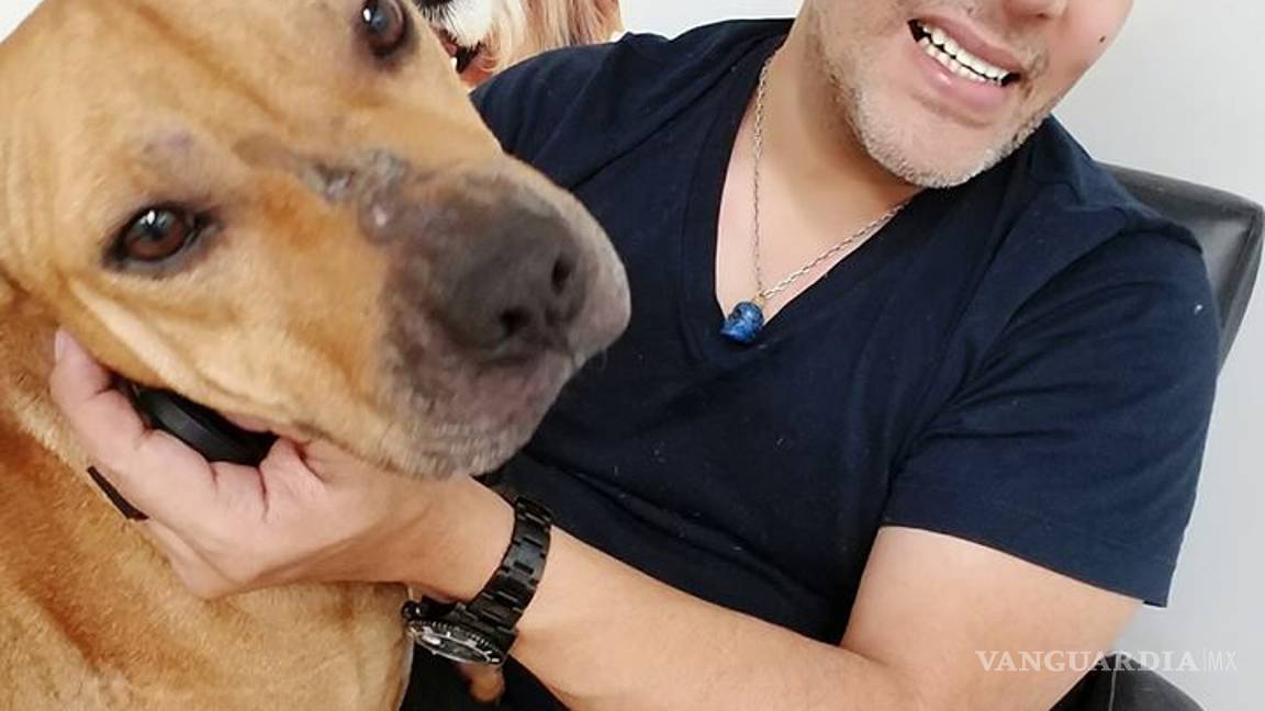 $!Raúl Julia-Levy acusa a Alejandro Fernández de maltrato animal