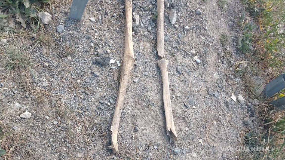 En Saltillo halla restos humanos mientras trabaja