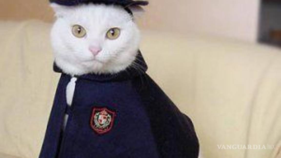 $!Ideas para disfraces de Halloween... ¡tu mascota lucirá adorable!