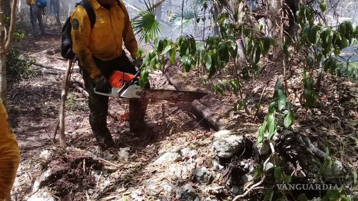 $!Incendio en reserva Sian Ka'an en Quintana Roo, controlado al 80%