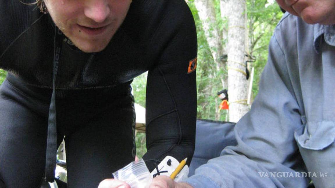 $!Confirman en Florida que hubo humanos pre-Clovis en América hace 14,550 años