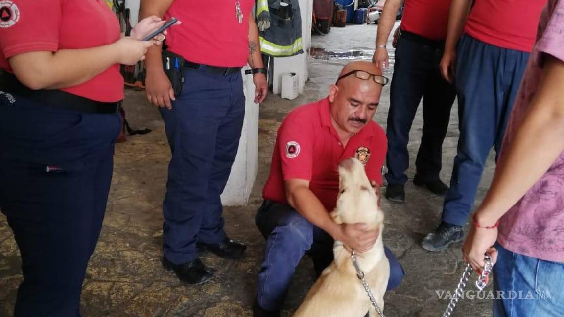 Bomberos de Ramos Arizpe salvan a perro de morir ahogado con un hueso