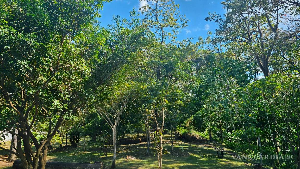 $!Parque Vázquez Dent (San José Costa Rica).