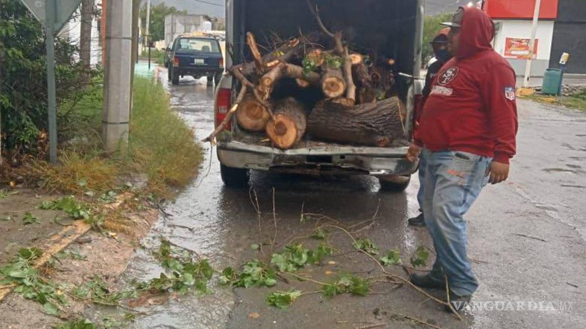 $!Comunidad local colaborando en la limpieza de escombros y ramas de árboles caídos para mantener las calles seguras.