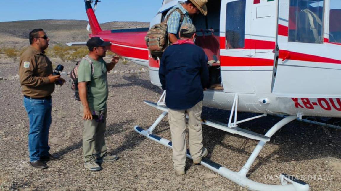 Confirma Gobierno de Coahuila muerte de tres jóvenes abandonados por ‘polleros’ en sierra de Ocampo