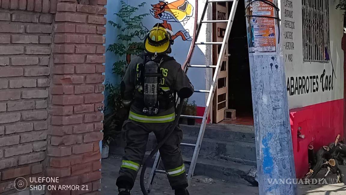 Molestan panal de abejas y acaban 10 picados, en Saltillo