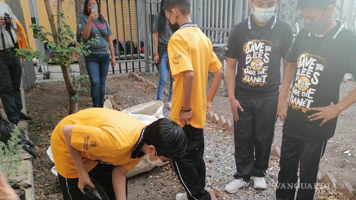 Promueven alumnos de Universidad Carolina la creación de Jardines Polinizantes