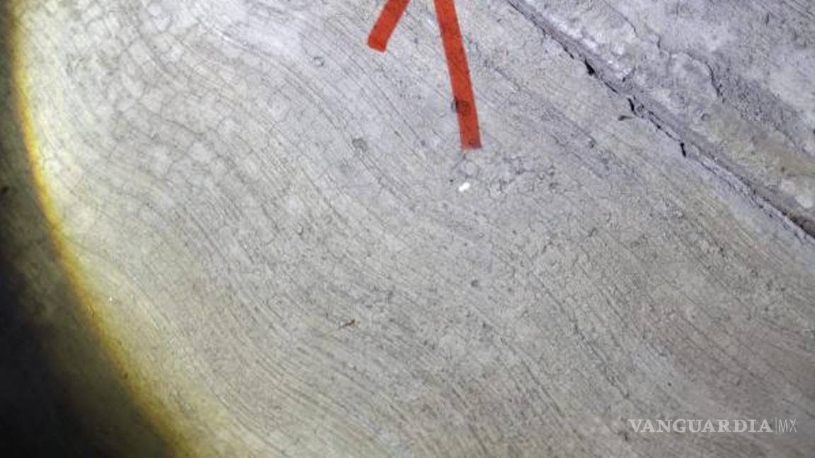 $!El agresor disparó contra un hombre que intentó que asumiera la responsabilidad por los daños a un vehículo.