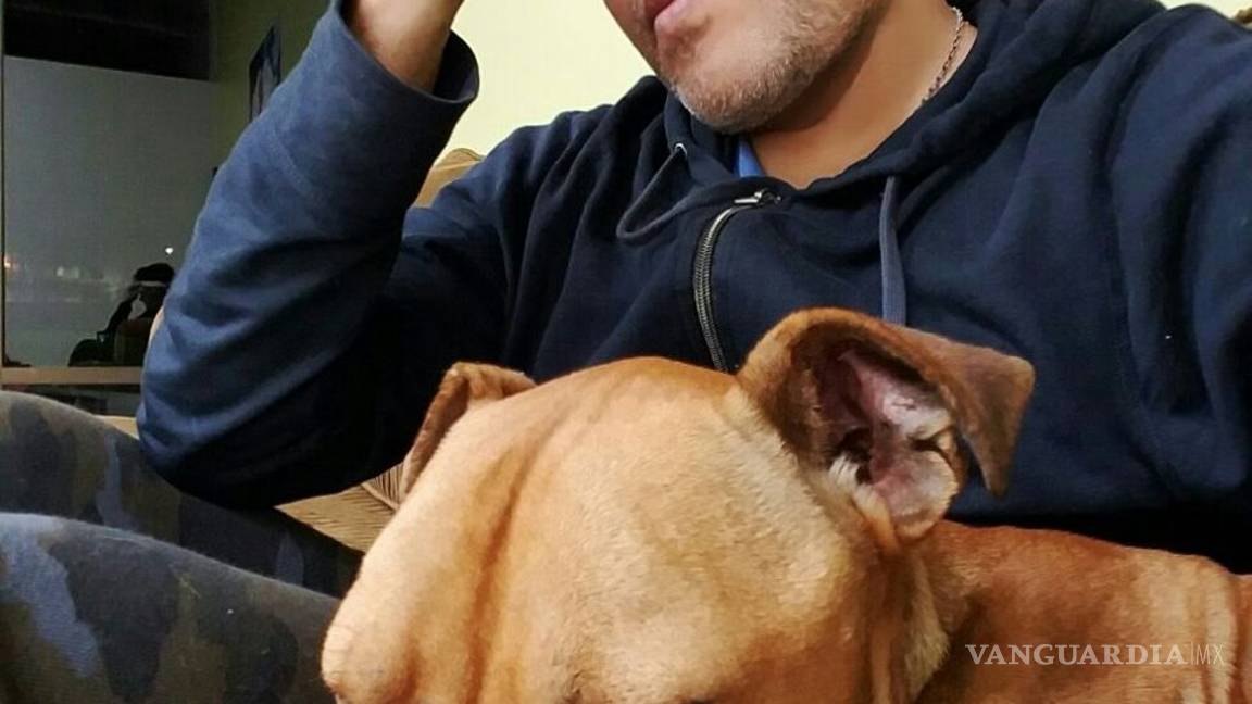 $!Revelan que el perro Max fue violentado a golpes y que sufre de desnutrición