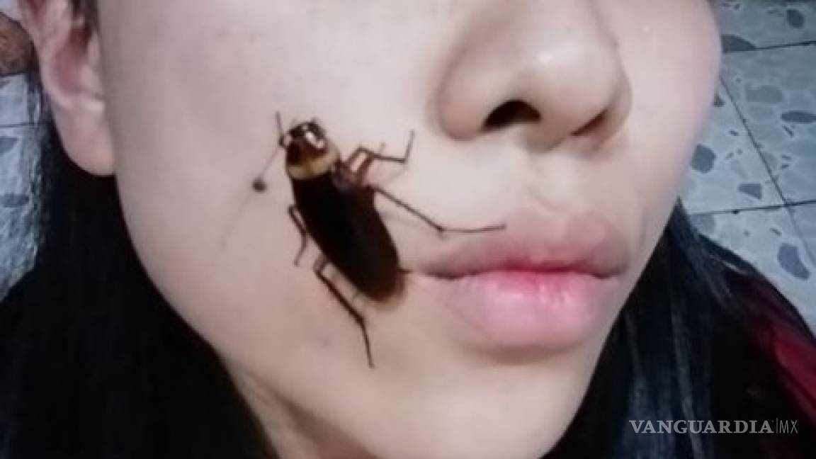 ¡No puede ser! Llega el reto #CockroachChallenge 'selfies con cucarachas'