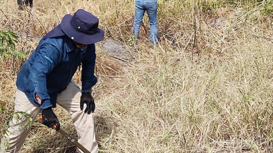 $!Por lo menos 100 cadáveres habrían en fosas clandestinas de Salvatierra