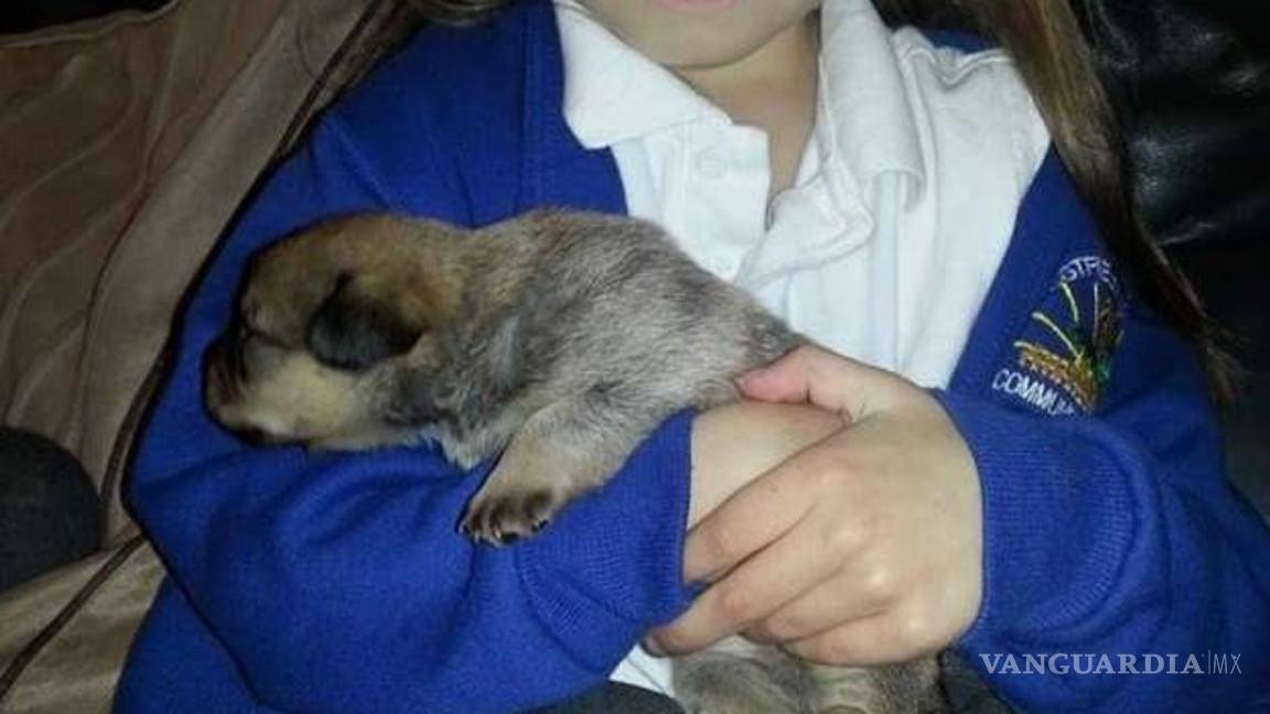 $!Jovencita de 16 años confesó que mató a una niña de siete