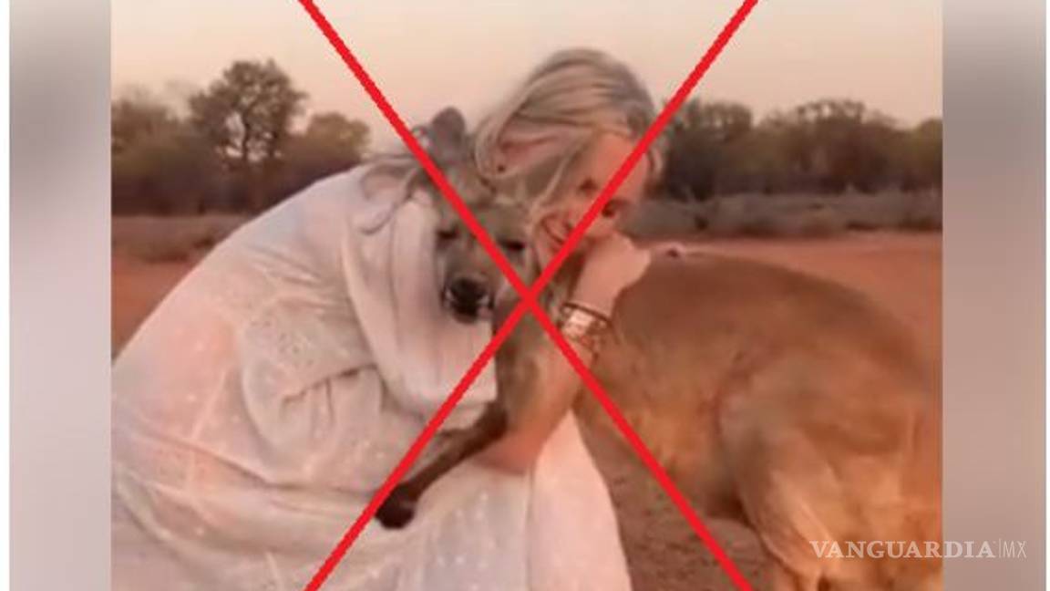 $!Estas son las fotografías falsas sobre los incendios en Australia