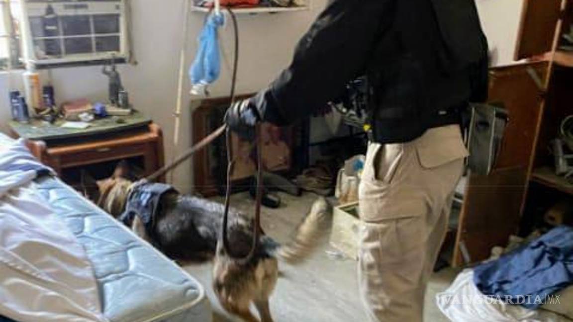 Detienen a 7 en cateos realizados a 9 viviendas en Linares, Nuevo León