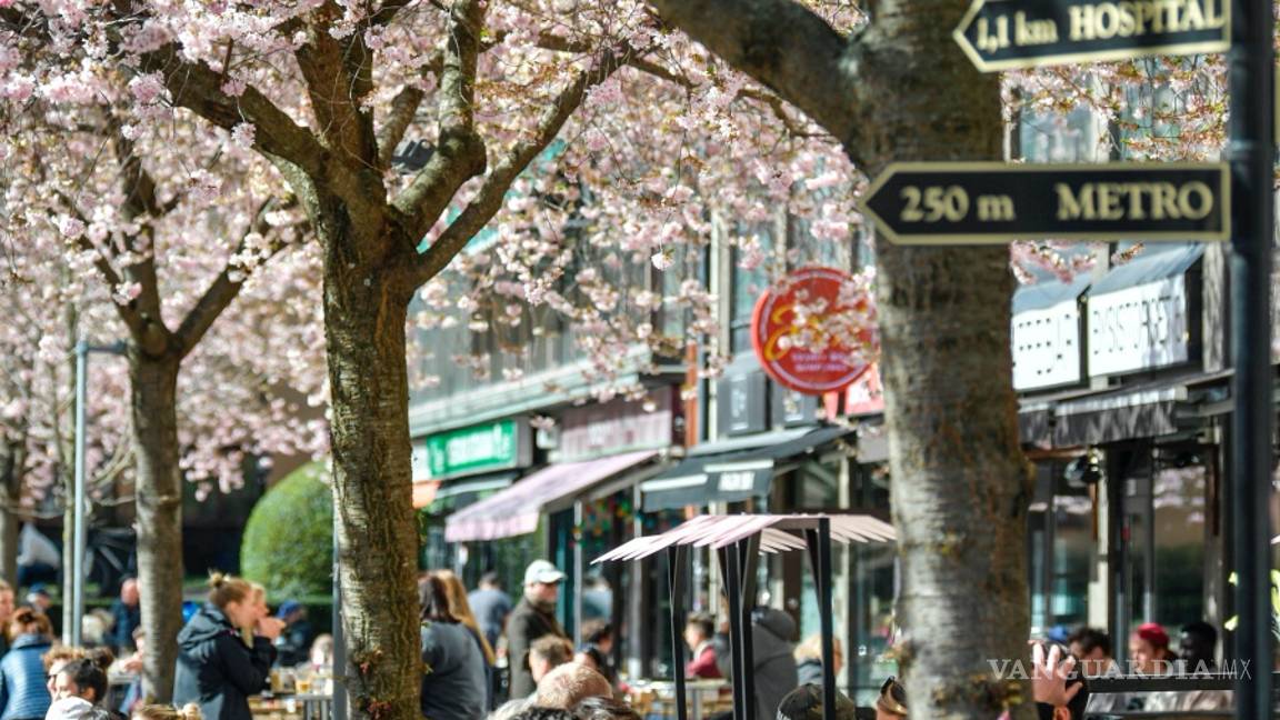 $!Coronavirus: Suecia y su liberal política de contención del COVID-19 supera el millar de muertos