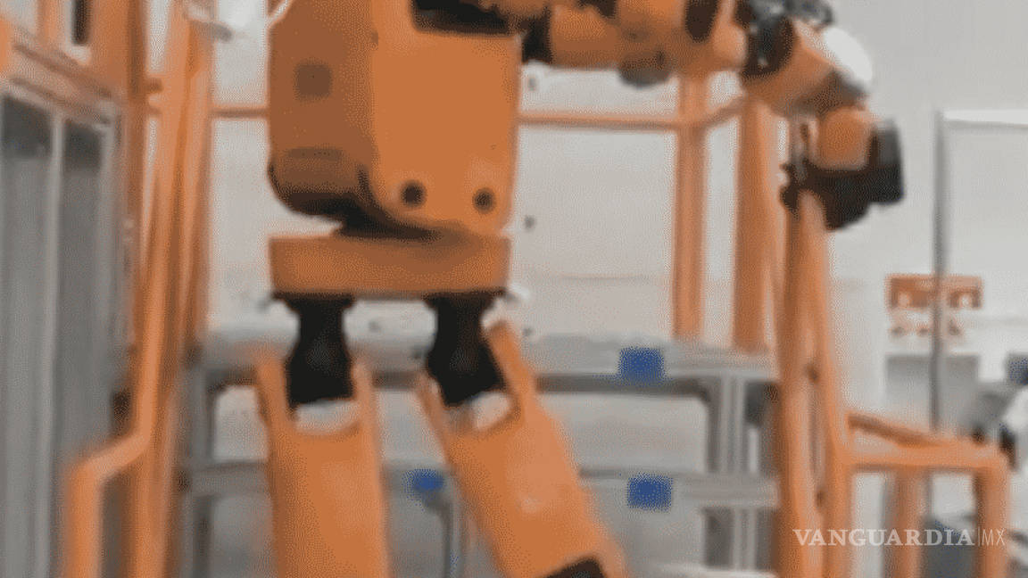 El robot que se perfila para ser un rescatista