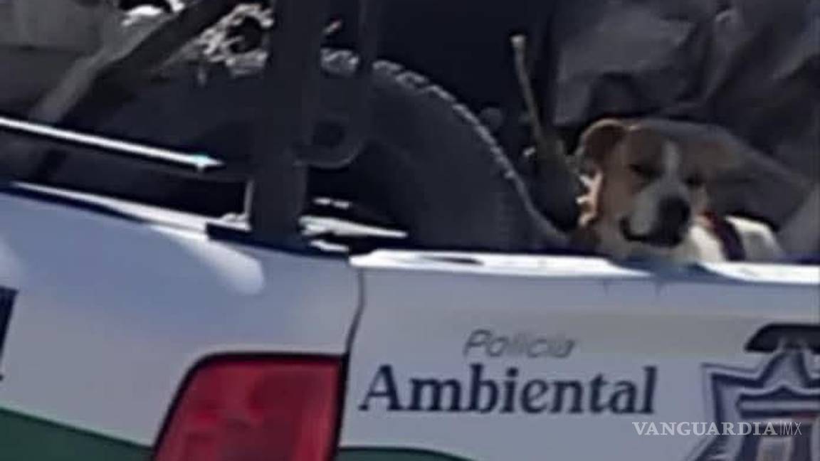 $!El alcalde Fernando Orozco reconoció fallas en el procedimiento de captura y aseguró que el responsable fue suspendido en tanto se realizan las investigaciones.