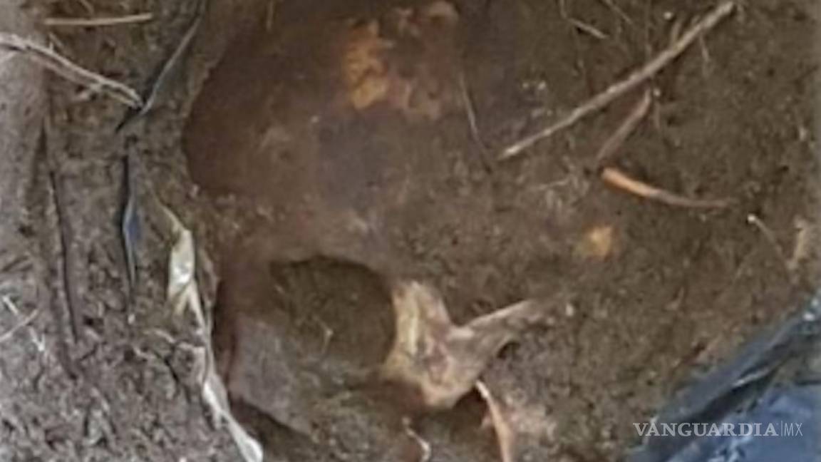 $!Lamentan nivel de maldad en Veracruz; familiares identifican ropa de bebés en fosas