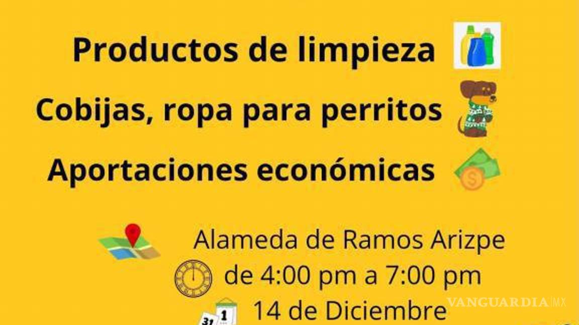 $!La actividad se llevará a cabo el próximo 14 de diciembre.