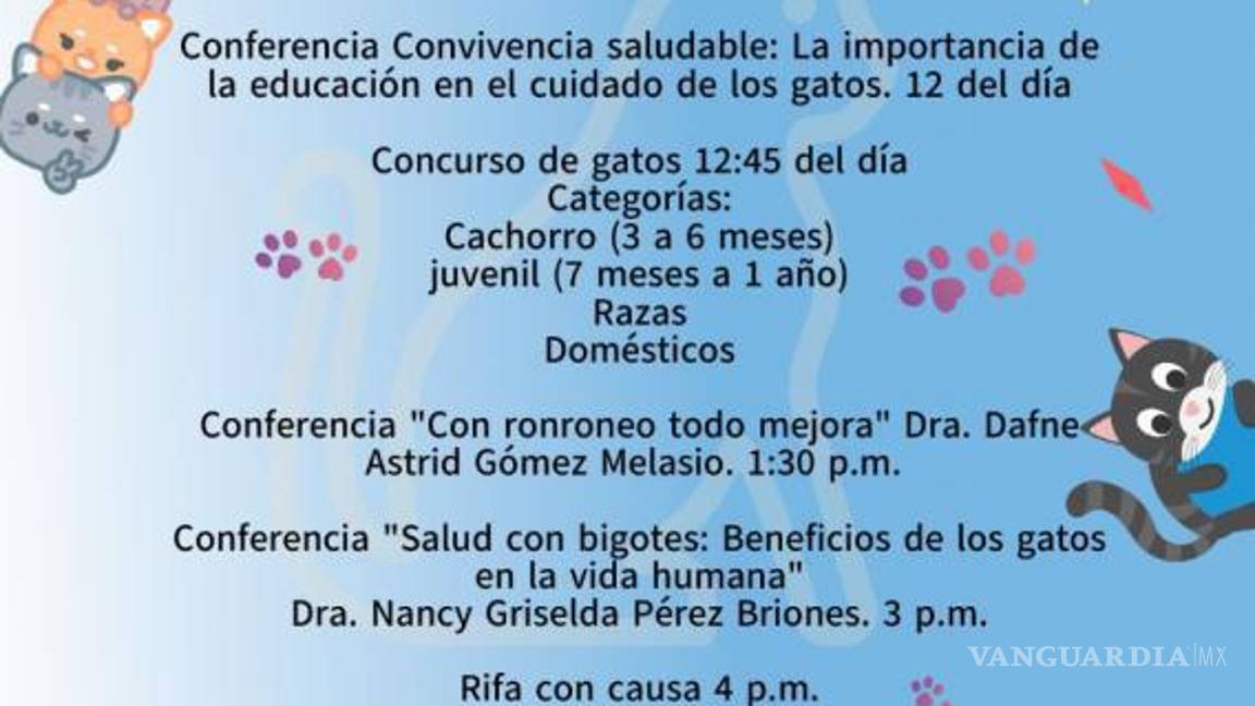 $!Voluntarios y rescatistas preparan un altar para recordar a las mascotas fallecidas durante la jornada felina.