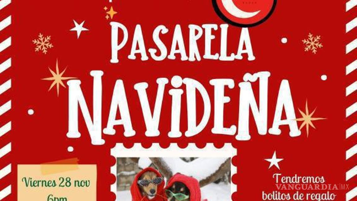 $!El evento busca difundir la labor de los rescatistas y crear conciencia social.