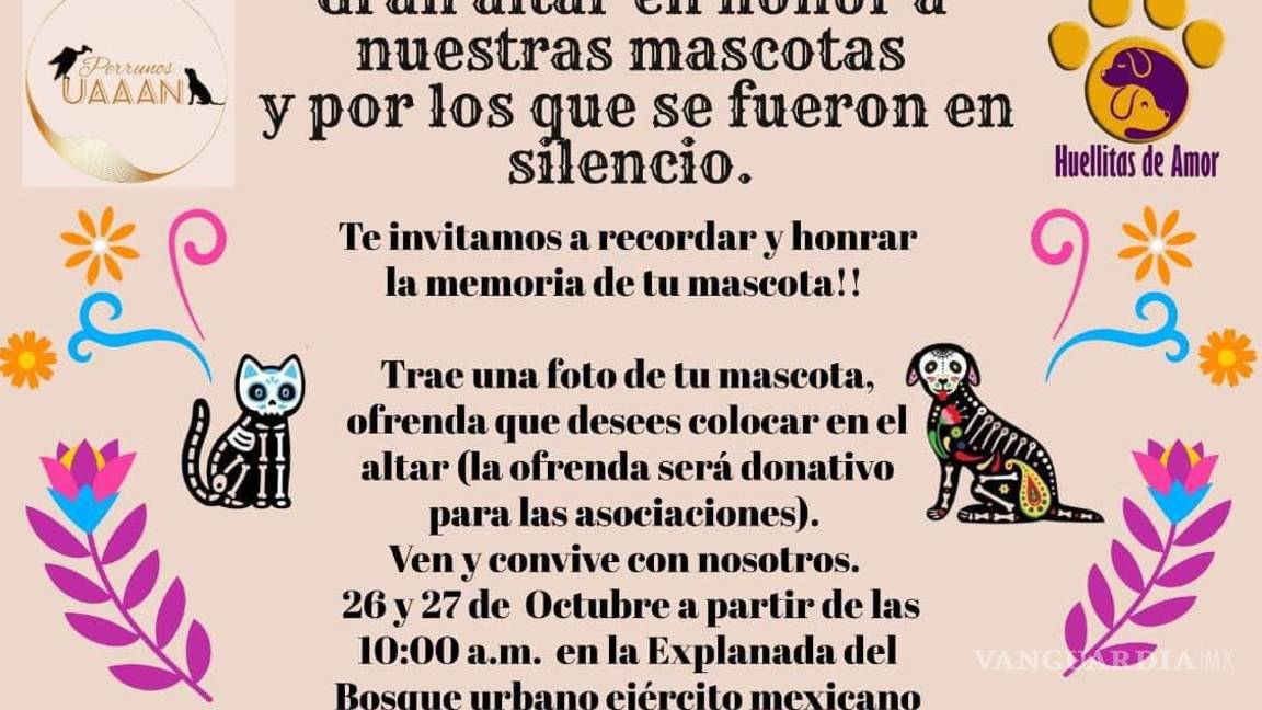 $!Las organizaciones invitan a la comunidad a participar en el Gran Altar en honor a las mascotas, que se llevará a cabo el 26 y 27 de octubre en el Bosque Urbano Ejército Mexicano.