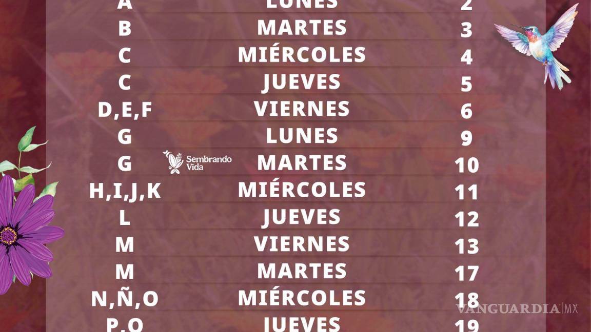 $!Pensión Bienestar marzo 2026: quién recibe pago de 6 mil 400 pesos del 16 al 20 de marzo