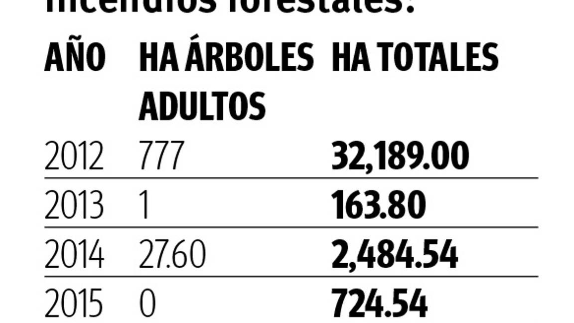 $!Arteaga, con el peor desastre en bosques en una década