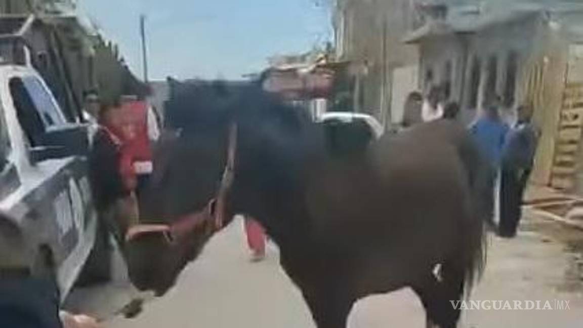 $!Argentina Carrillo denuncia que el responsable ocultó al primer equino reportado para evadir la ley.