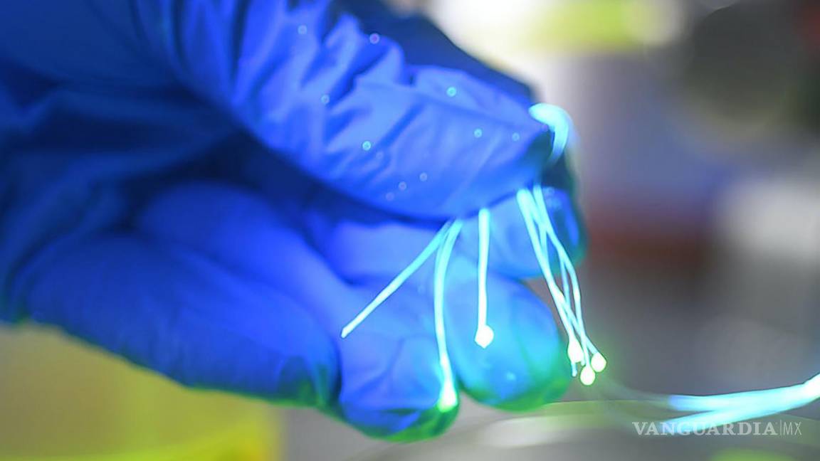 $!Fibras médicas con una gota de principio activo en sus extremos.