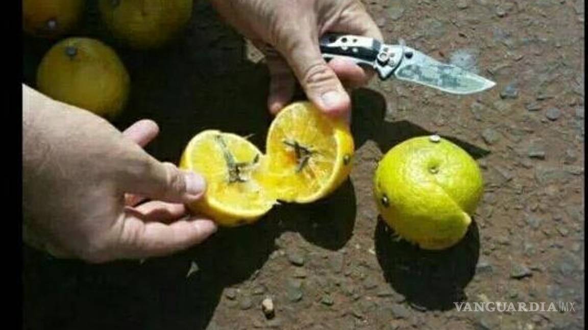 $!Desde hace años, ciudadanos preocupados han documentado la variedad y frecuencia de objetos punzocortantes en las carreteras, algunos colocados con intención de dañar.