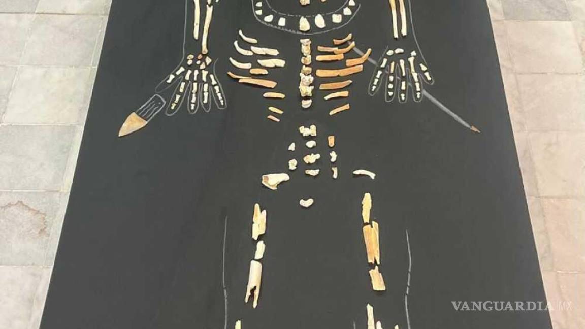 Esqueleto encontrado en Viesca es de un treintañero que murió hace mil años donde trabajaba