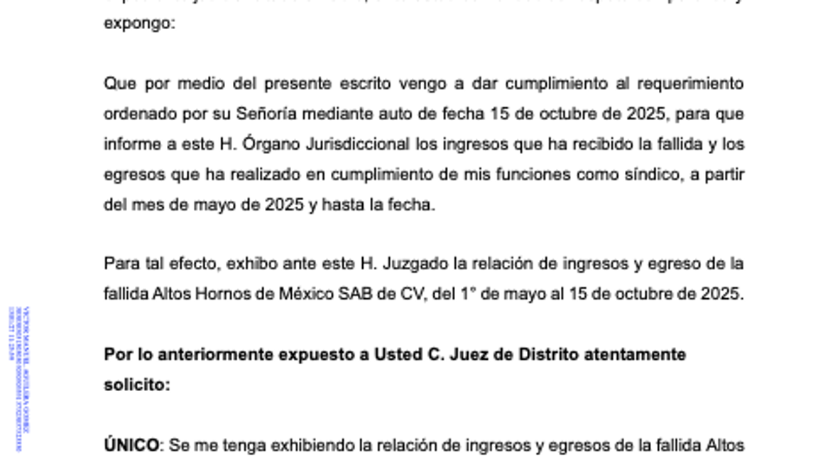 $!El informe del síndico detalla que 64 millones de pesos provinieron de fuentes secundarias, no de producción de acero.