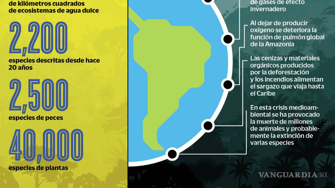 $!Amazonia: radiografía de un pulmón enfermo; daño ecológico aun incalculable