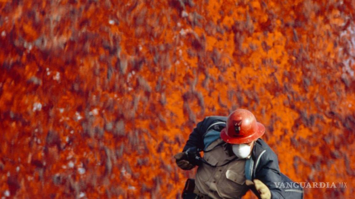 $!Las 10 fotos más espectaculares de National Geographic