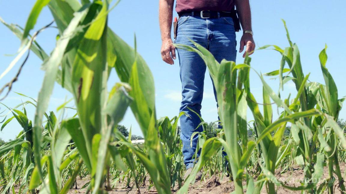 $!Estos son los 10 trabajos más peligrosos en EU