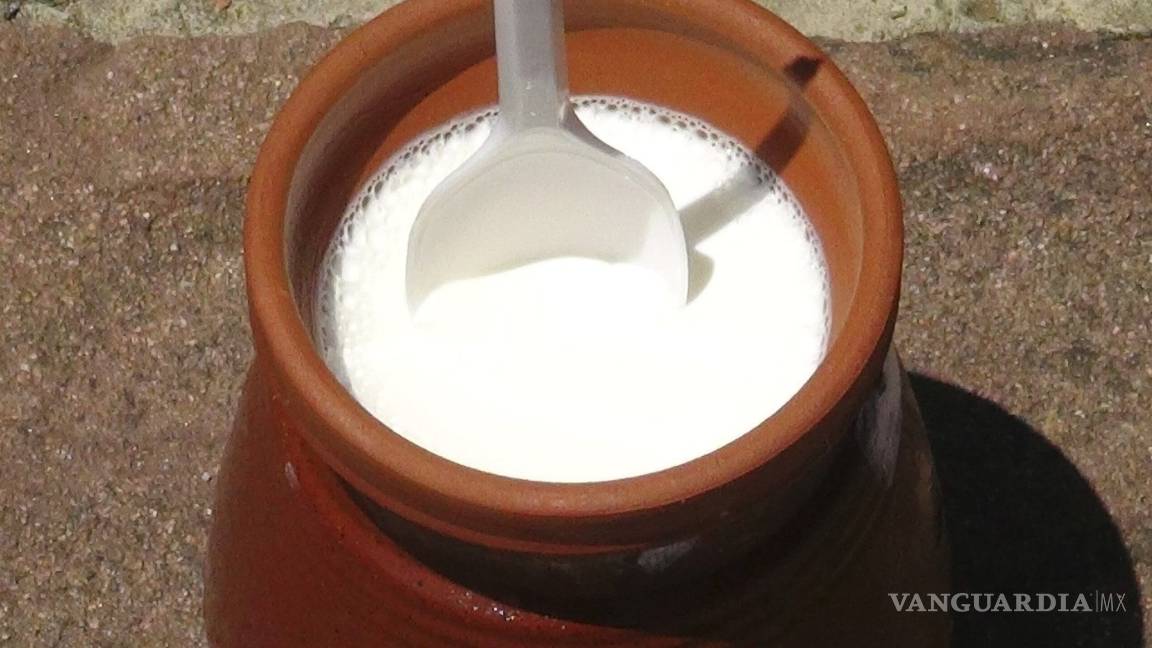 $!Prebióticos y probióticos, ambos desempeñan una función importante en la salud digestiva