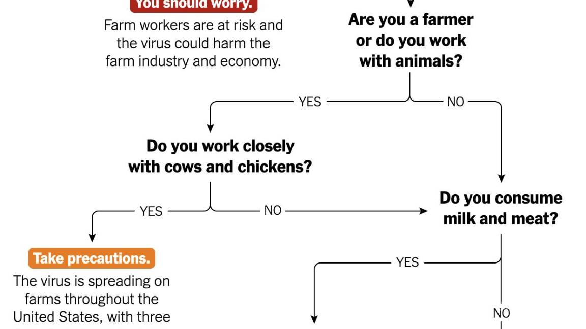 $!¿Qué tanto debe asustarnos la gripe aviar?