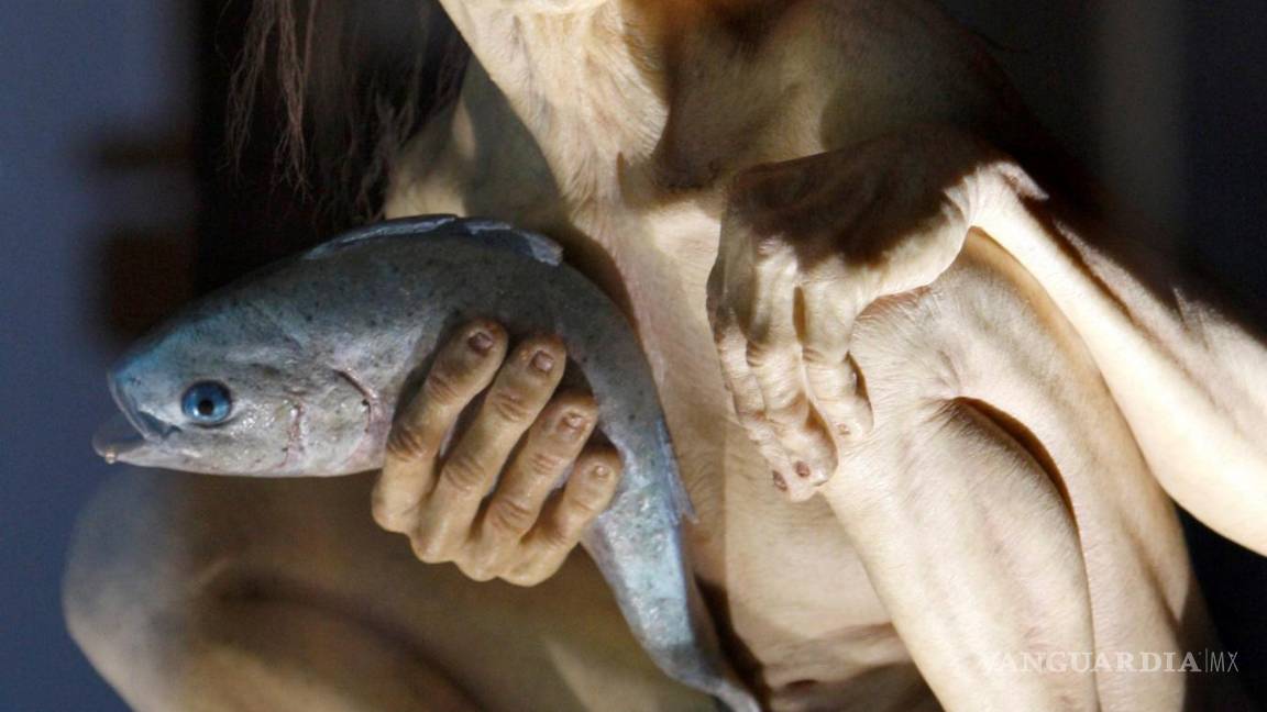 $!Una maqueta 1:1 del personaje Gollum, que forma parte de la exposición sobre la trología El Señor de los Anillos. EFE/Lavandeira jr