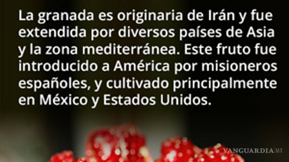 $!Científicos en Saltillo creen que cáscara de granada podría prevenir el cáncer