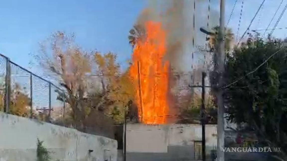 Vecinos aseguran ver imagen de San Judas en incendio de una palma en Parras de la Fuente