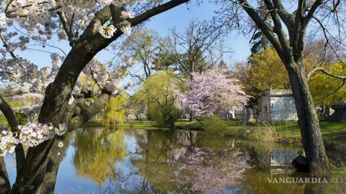 $!El Woodlawn, el cementerio que cuenta la historia de Nueva York