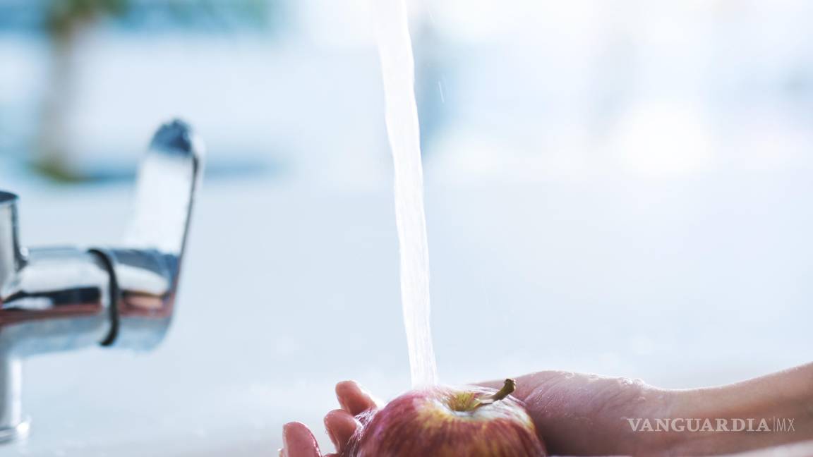 $!Desde desconectar aparatos hasta aprovechar la luz natural: cada hábito cuenta para construir un hogar más ecológico y responsable.