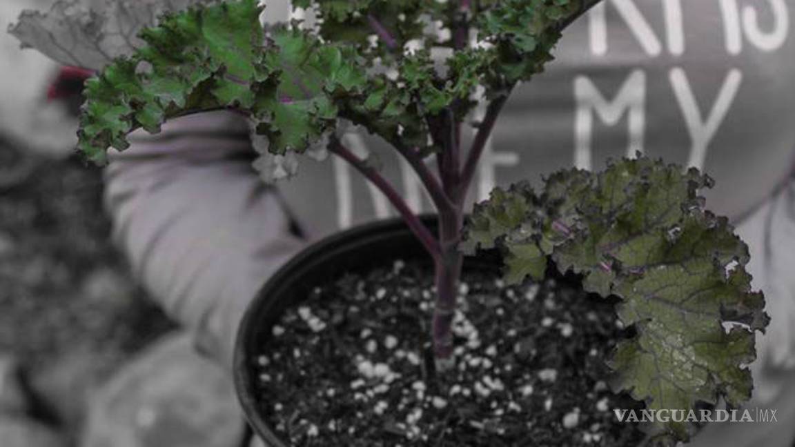 $!Alumnos de la FCC fomentan cultura ecológica